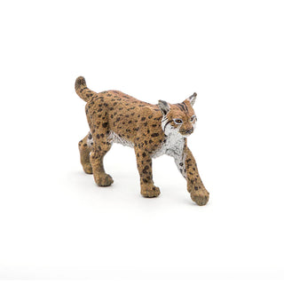 LYNX