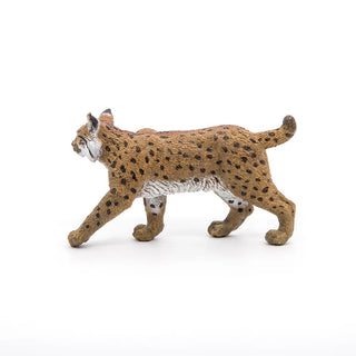 LYNX
