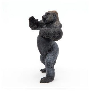 MOUNTAIN GORILLA