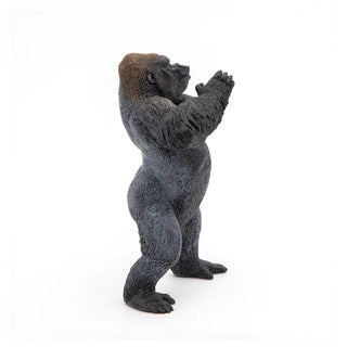 MOUNTAIN GORILLA