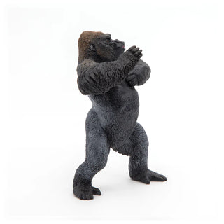 MOUNTAIN GORILLA