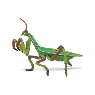 PRAYING MANTIS