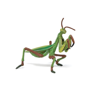 PRAYING MANTIS