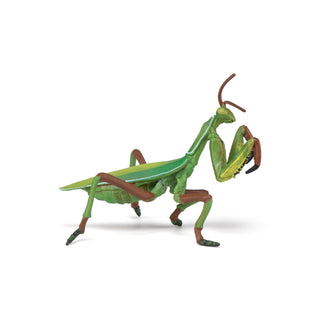 PRAYING MANTIS