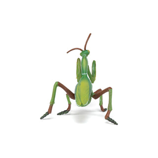 PRAYING MANTIS
