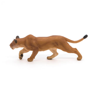 LIONESS CHASING