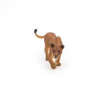 LIONESS CHASING