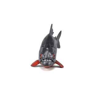 PIRANHA