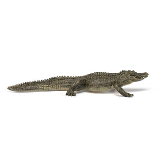 ALLIGATOR