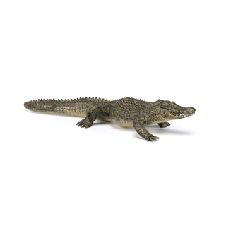ALLIGATOR