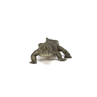 ALLIGATOR
