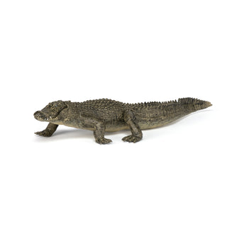 ALLIGATOR