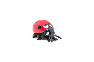 LADYBIRD