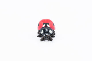 LADYBIRD