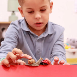 LADYBIRD