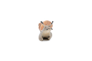 SNAIL