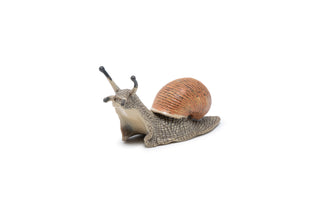 SNAIL