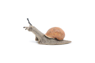 SNAIL