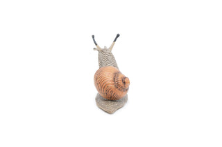 SNAIL