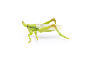 GRASSHOPPER