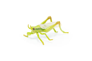 GRASSHOPPER