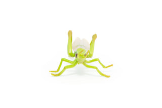 GRASSHOPPER