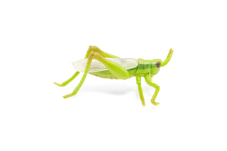 GRASSHOPPER