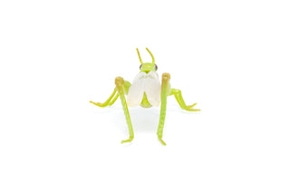 GRASSHOPPER