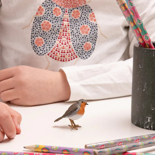 ROBIN