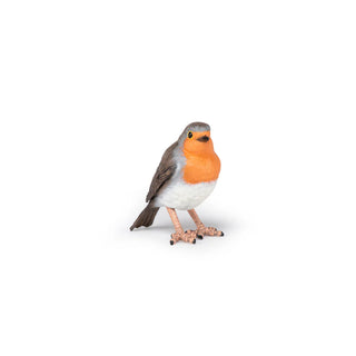 ROBIN