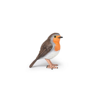 ROBIN