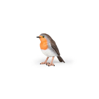 ROBIN