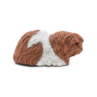GUINEA PIG