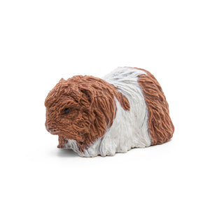 GUINEA PIG