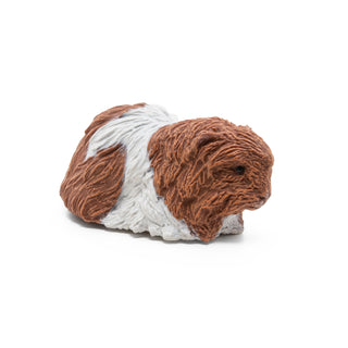 GUINEA PIG