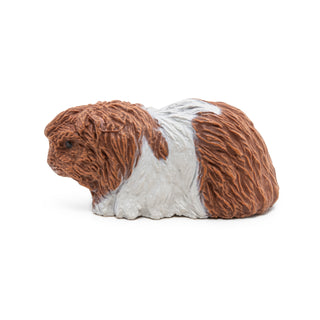 GUINEA PIG