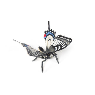 SWALLOWTAIL BUTTERFLY
