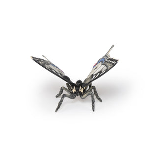 SWALLOWTAIL BUTTERFLY
