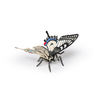 SWALLOWTAIL BUTTERFLY