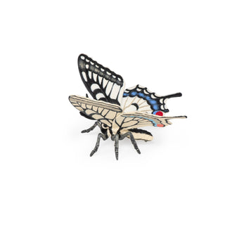 SWALLOWTAIL BUTTERFLY