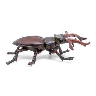 STAG BEETLE