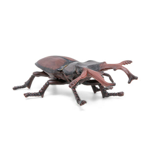 STAG BEETLE