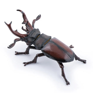 STAG BEETLE