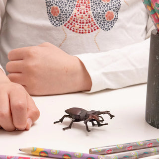 STAG BEETLE