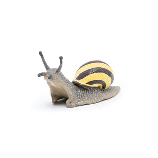 GROVE SNAIL