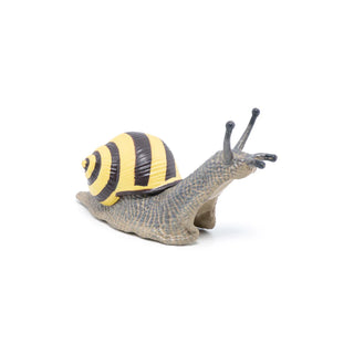 GROVE SNAIL
