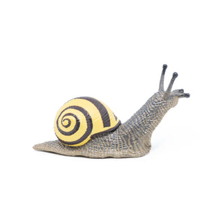 GROVE SNAIL