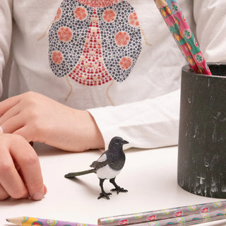 MAGPIE
