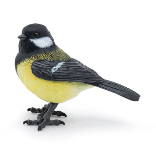 EUROPEAN TIT