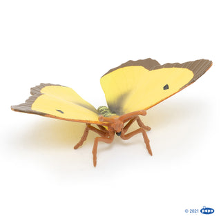 CLOUDED YELLOW BUTTERFLY